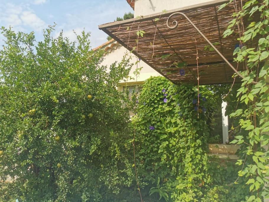 Maison Avec Piscine Dans Village Provencal. Courthézon Екстериор снимка