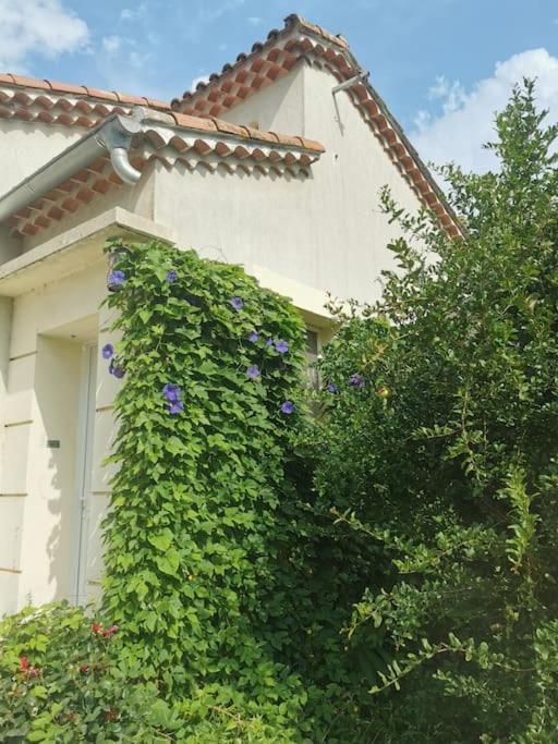Maison Avec Piscine Dans Village Provencal. Courthézon Екстериор снимка
